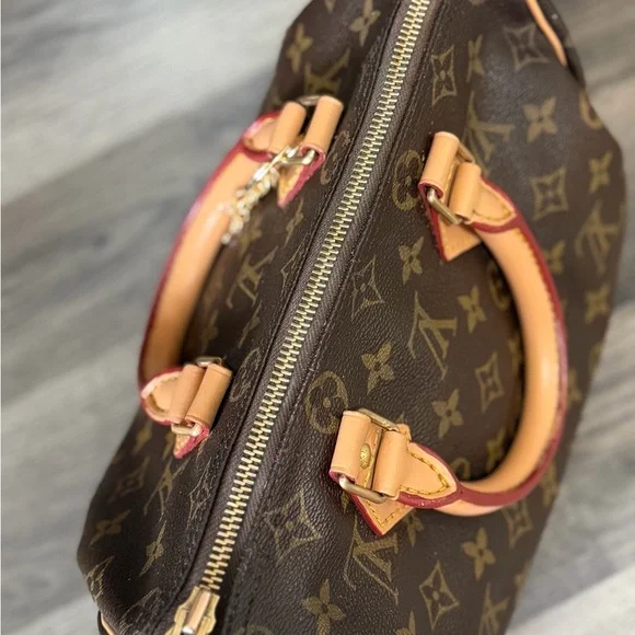 Louis Vuitton Speedy 25 Brown Monogram Satchel with Pink Scarf and Charm - Picture 11 of 16